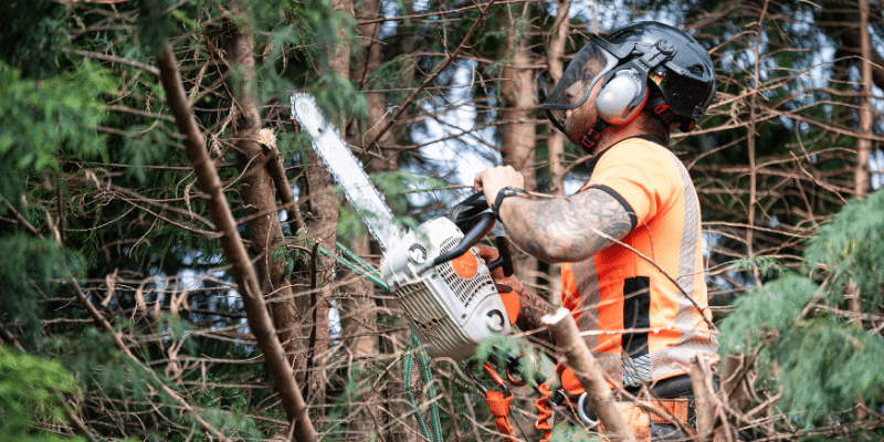 Copy of Copy of Copy of Copy of Copy of Copy of Untitled 1 1