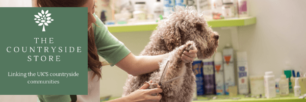 Dog grooming services