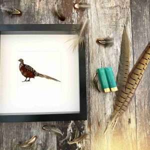 Pheasant Feather Frame