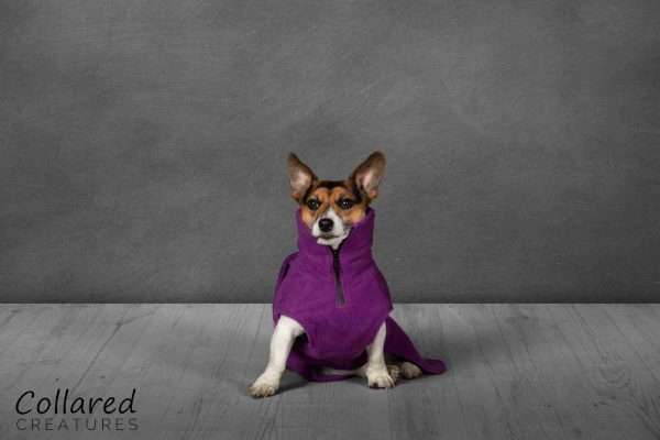 Collared Creatures magenta dog drying coat