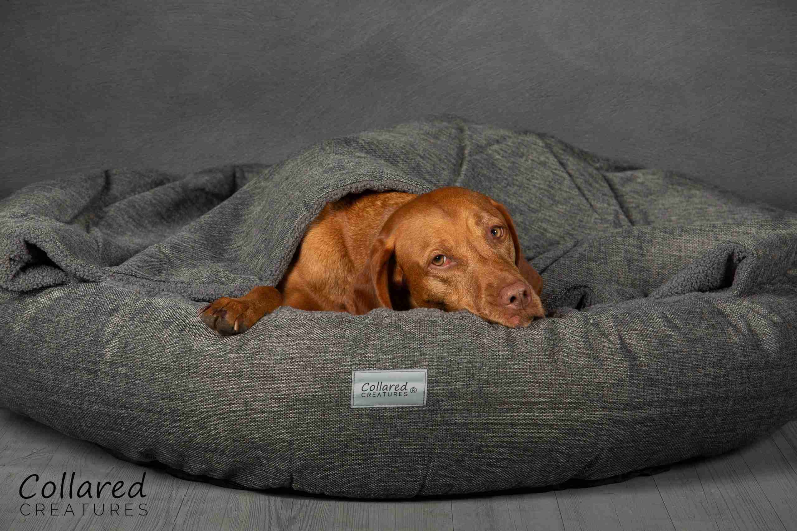 Collared Creatures Grey Classic Cocoon Dog Bed front view