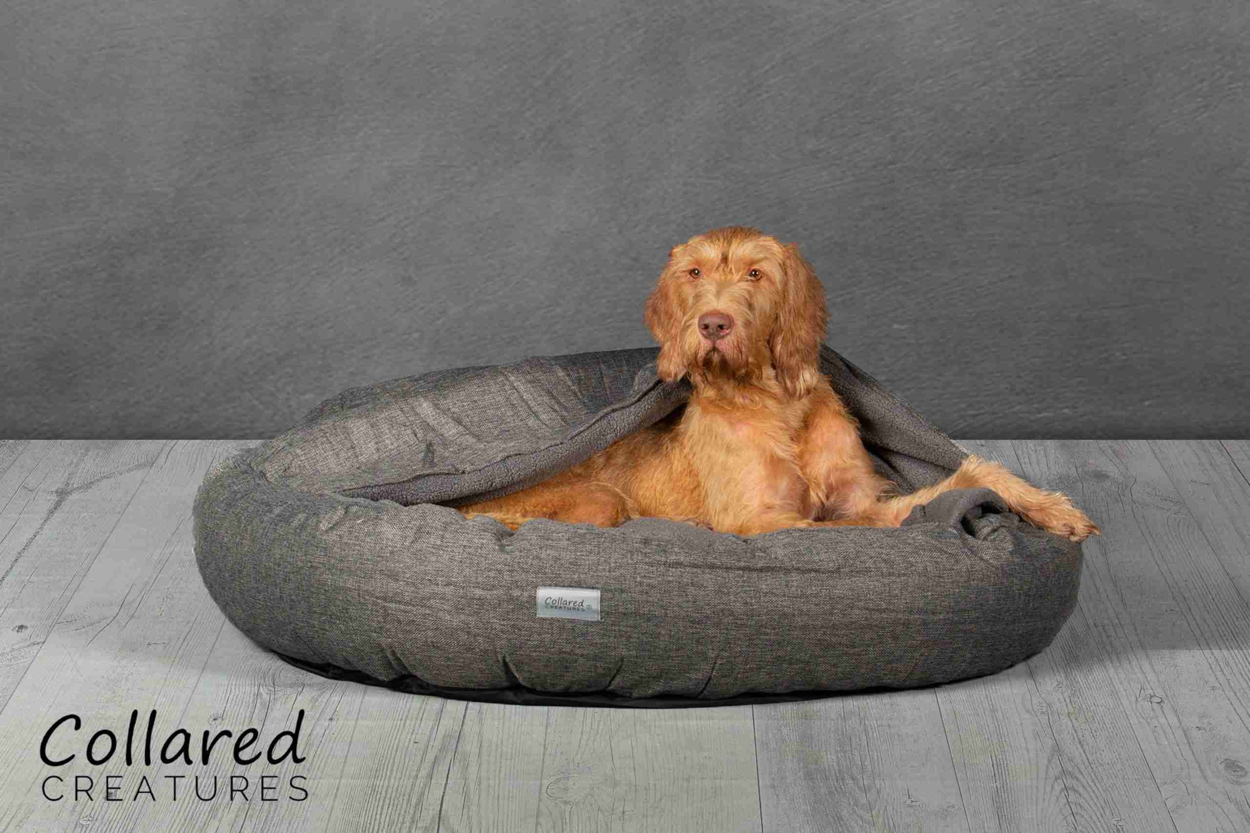 Collared Creatures Grey Classic Cocoon Dog Bed