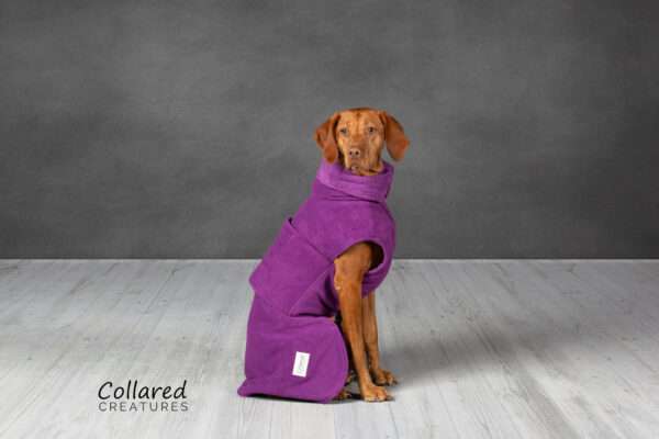 Collared Creatures magenta dog drying coat