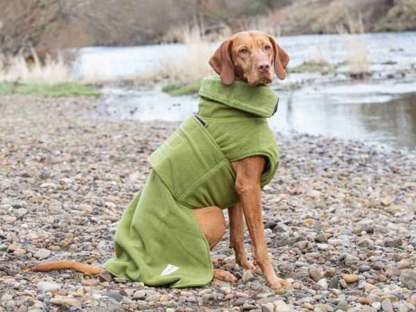 collared creatures green perfectly practical drying coat