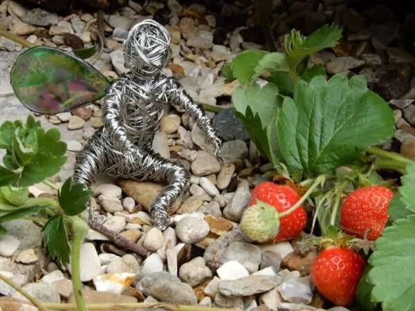 Baby Fairy - Image 2