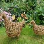 "Duck"