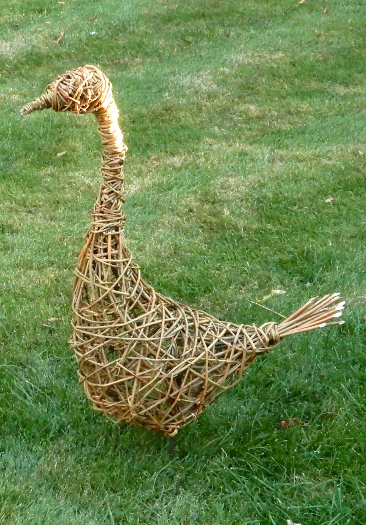 Goose 1