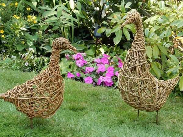 Goose - Image 3
