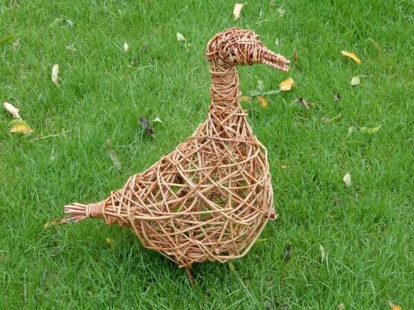 Goose - Image 5