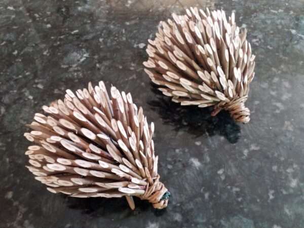 Hedgehog - Image 3