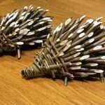 Hedgehog