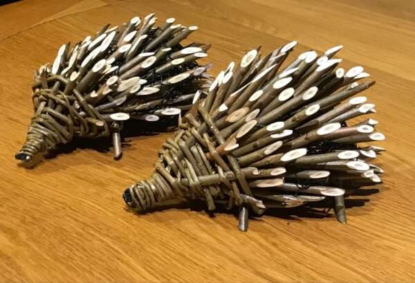 Hedgehog