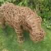 Hippo