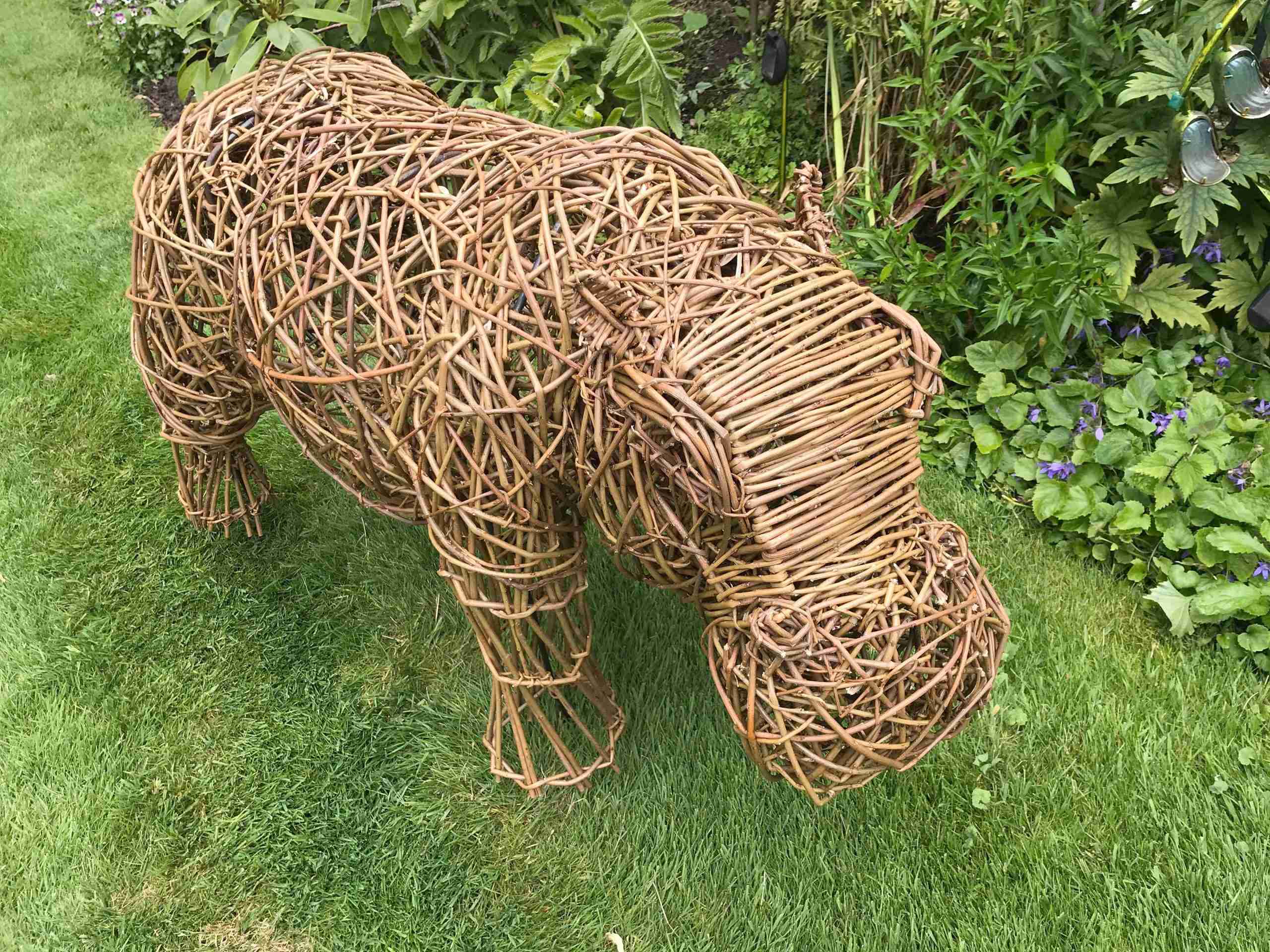 Hippo 1 scaled 1