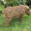 Hippo - Image 3