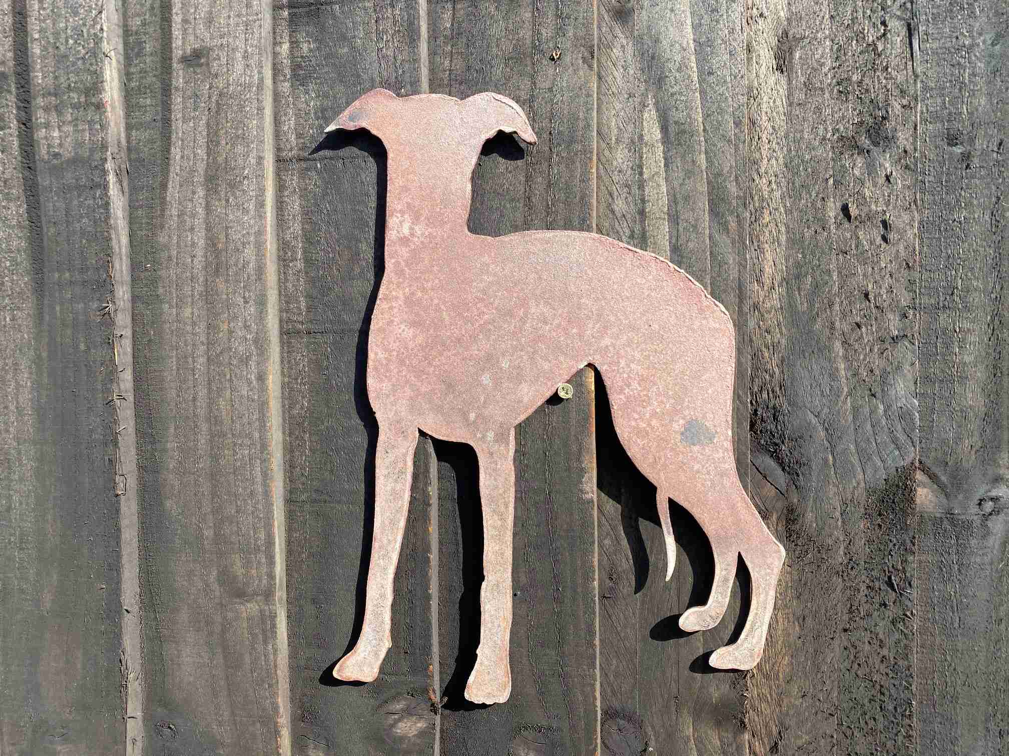 whippet and greyhound shop