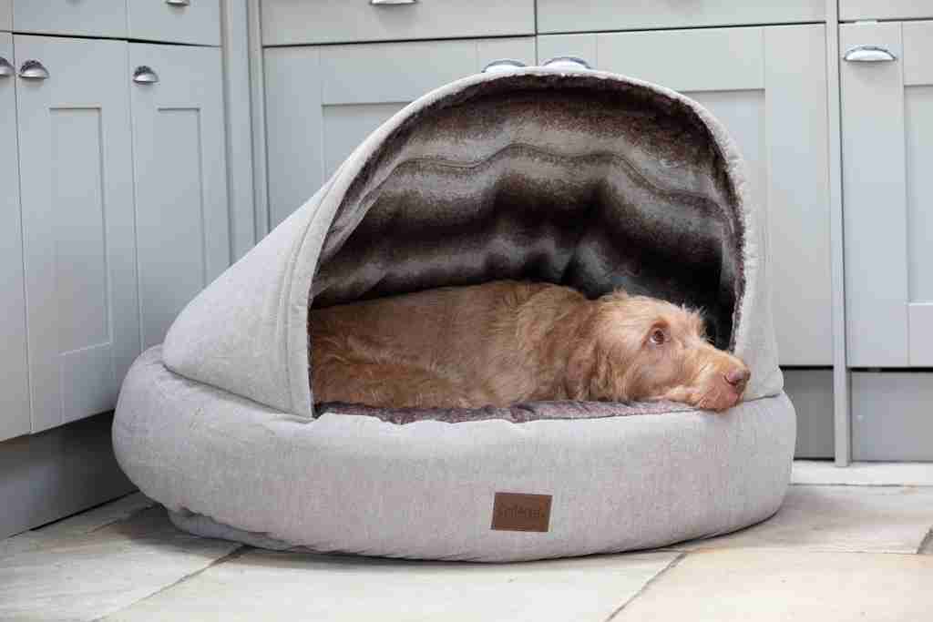 Collared Creatures Beige Luxury Deluxe Comfort Cocoon Dog Cave Bed