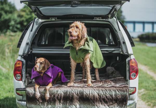 Collared Creatures magenta dog drying coat