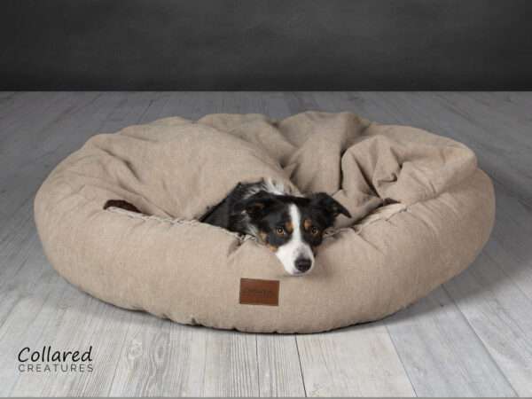 collie in luxury cocoon dog cave bed by collared creatures