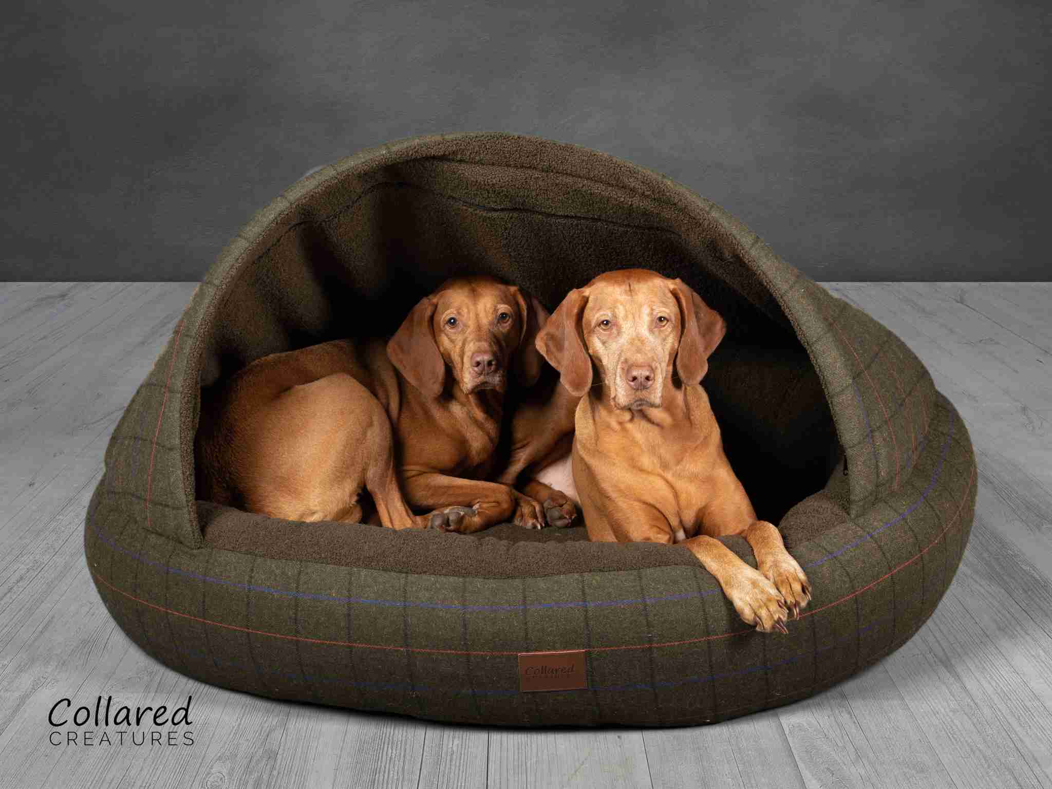 Collared Creatures Green Tweed Deluxe Comfort Cocoon Dog Cave Bed 2 dogs in