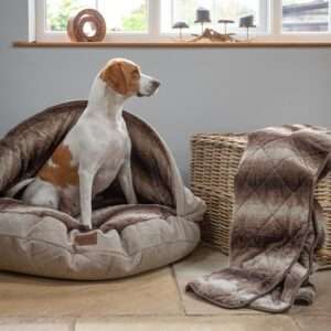 tan and white beagle sat in a collared creatures luxury beige cave bed