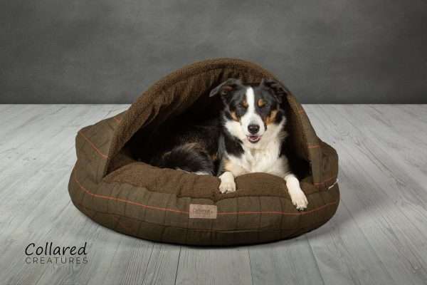 Collared Creatures Green Tweed Classic Dog Cave bed medium