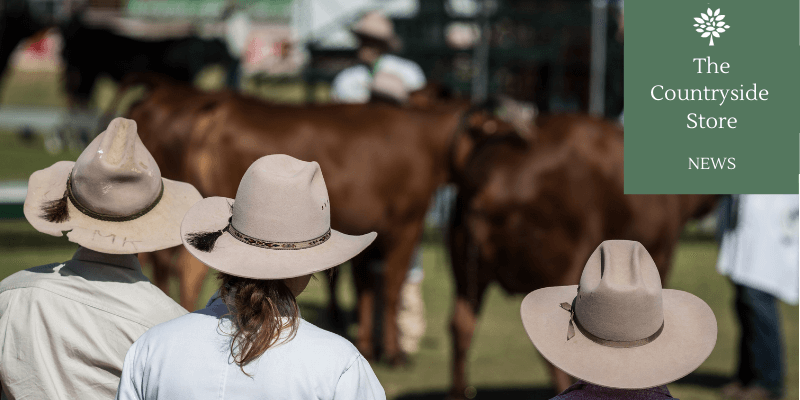 Copy of Copy of Untitled 9