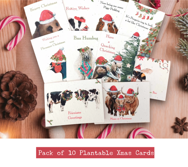 10 pack christmas card mocks 2023 Pack of 10 plantable eco friendly luxury Christmas cards, farm themed