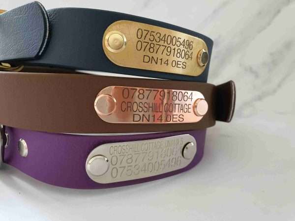 Collared Creatures Sky Blue & Teal Handmade Multicolour Waterproof Dog Collar - Image 3