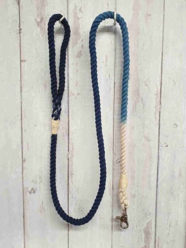 Collared Creatures Blue Ombre Dip Dyed Dog lead clip