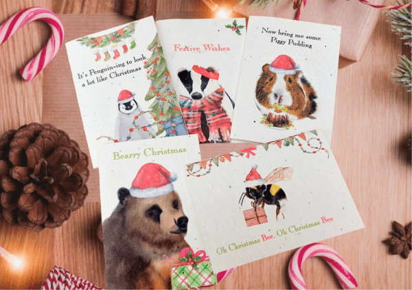 image shows 5 of the plantable seed xmas cards from the set of 10. These are cute animal themed from Emma Metcalf designs.