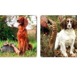 Working Dog and Countryside Scene Coasters (Set of 8)