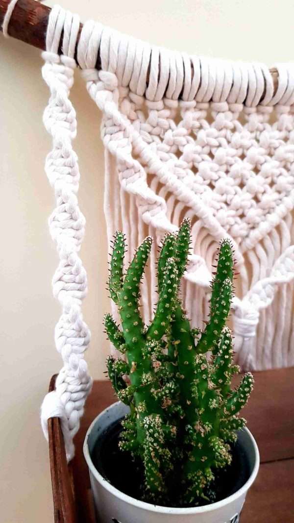 Macrame hanging  shelf, herb garden, plant holder, - Image 3