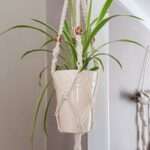 Macrame beaded plant hanger, handmade, home decor, gift