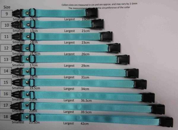 Litter Identification Collars - Breeding - Image 2