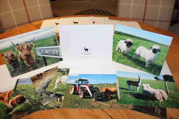 Farming Greeting Cards (Pack of 10) - Image 3
