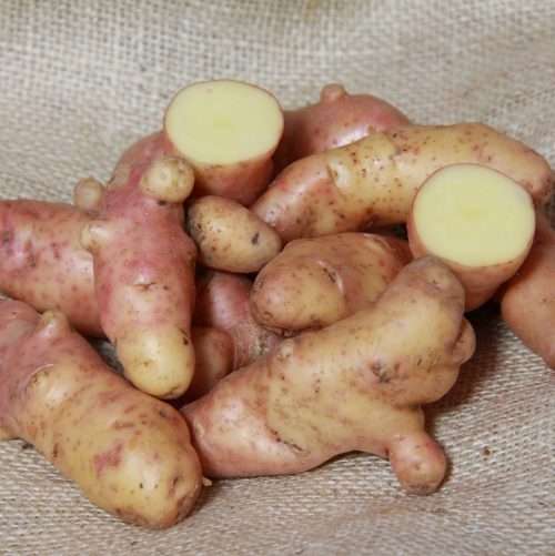 Where do I buy Pink Fir Apple Seed Potatoes