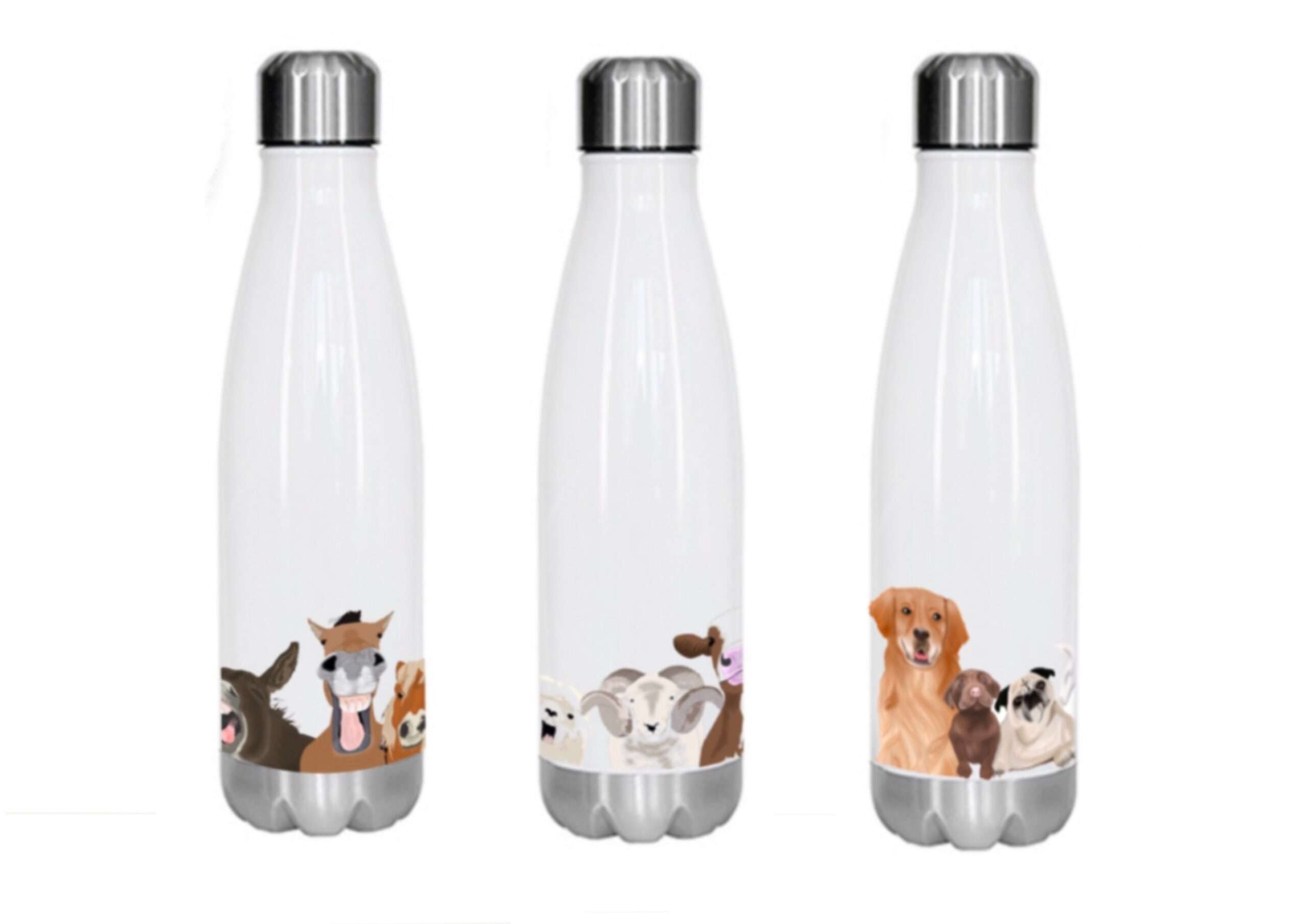 Drinks bottle, bottle, hot, cold, equine