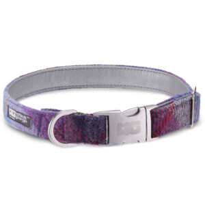 Daisy Heather Dog Collar Handcrafted in Harris Tweed with Silver Leather Lining