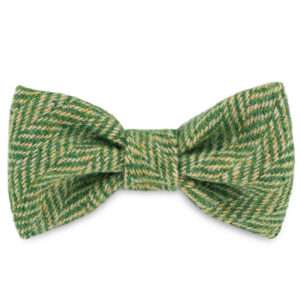 George's Green Arrow Dog Bow Tie in Harris Tweed