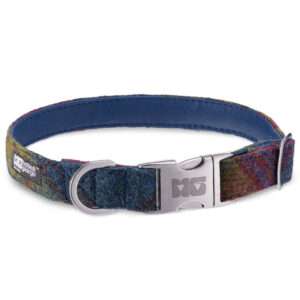 Scout's Warm Colours Dog Collar Handcrafted in Harris Tweed with Cobalt Leather Lining