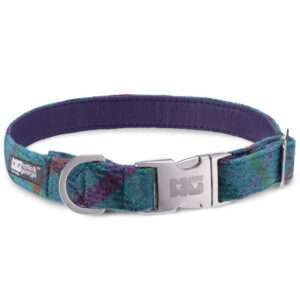 Gus's Turquoise Dog Collar Handcrafted in Harris Tweed with Purple Leather Lining