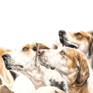 We're Listening ...   Giclee Print