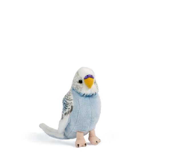 AN394 BLUE LIVING NATURE Budgerigars