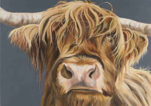 Kirkstone RebelA1deepwhite scaled Good quality canvas print of a Highland cow painting, stretched on a deep canvas frame, The edges of the canvas are white. Free postage in the UK.