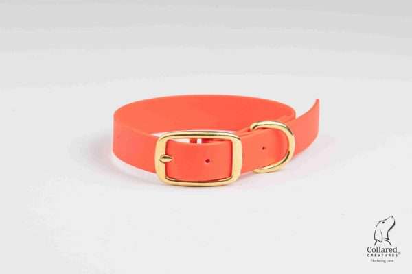 Collared Creatures Neon Orange waterproof dog collar