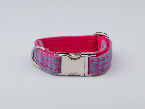 Collared Creatures Turquoise & Pink Houndstooth Dog Collar