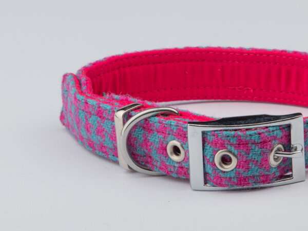 Collared Creatures Turquoise & Pink Houndstooth Dog Collar buckle fastening 1