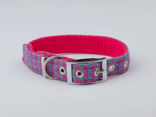 Collared Creatures Turquoise & Pink Houndstooth Dog Collar buckle fastening