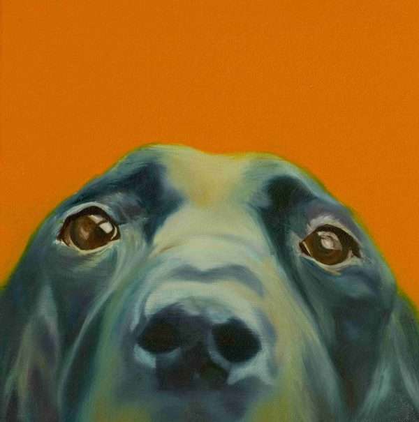 Labrador print